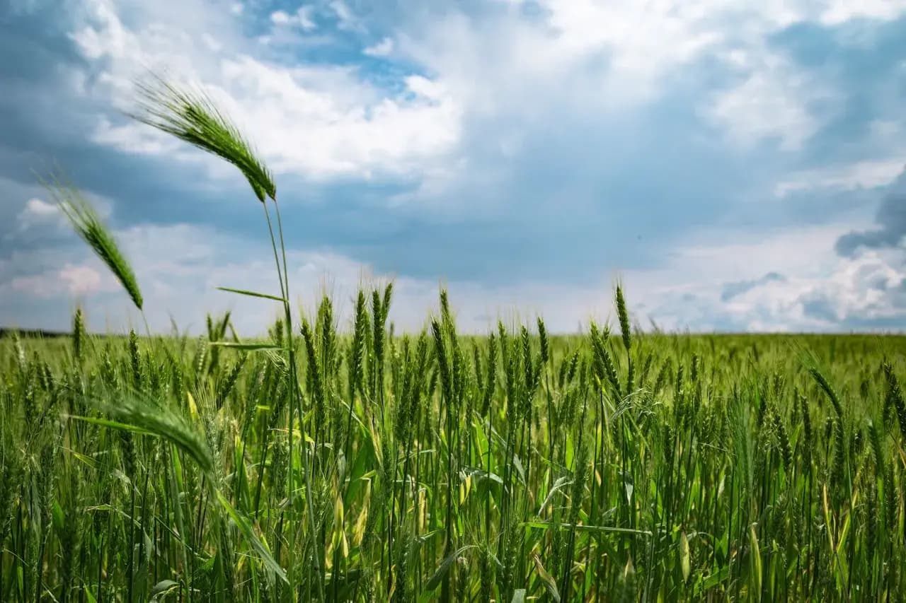 Farming in Harmony with Nature: Case Studies
