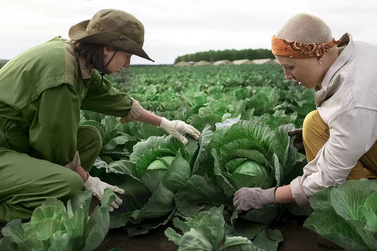 Organic Farming Guidance