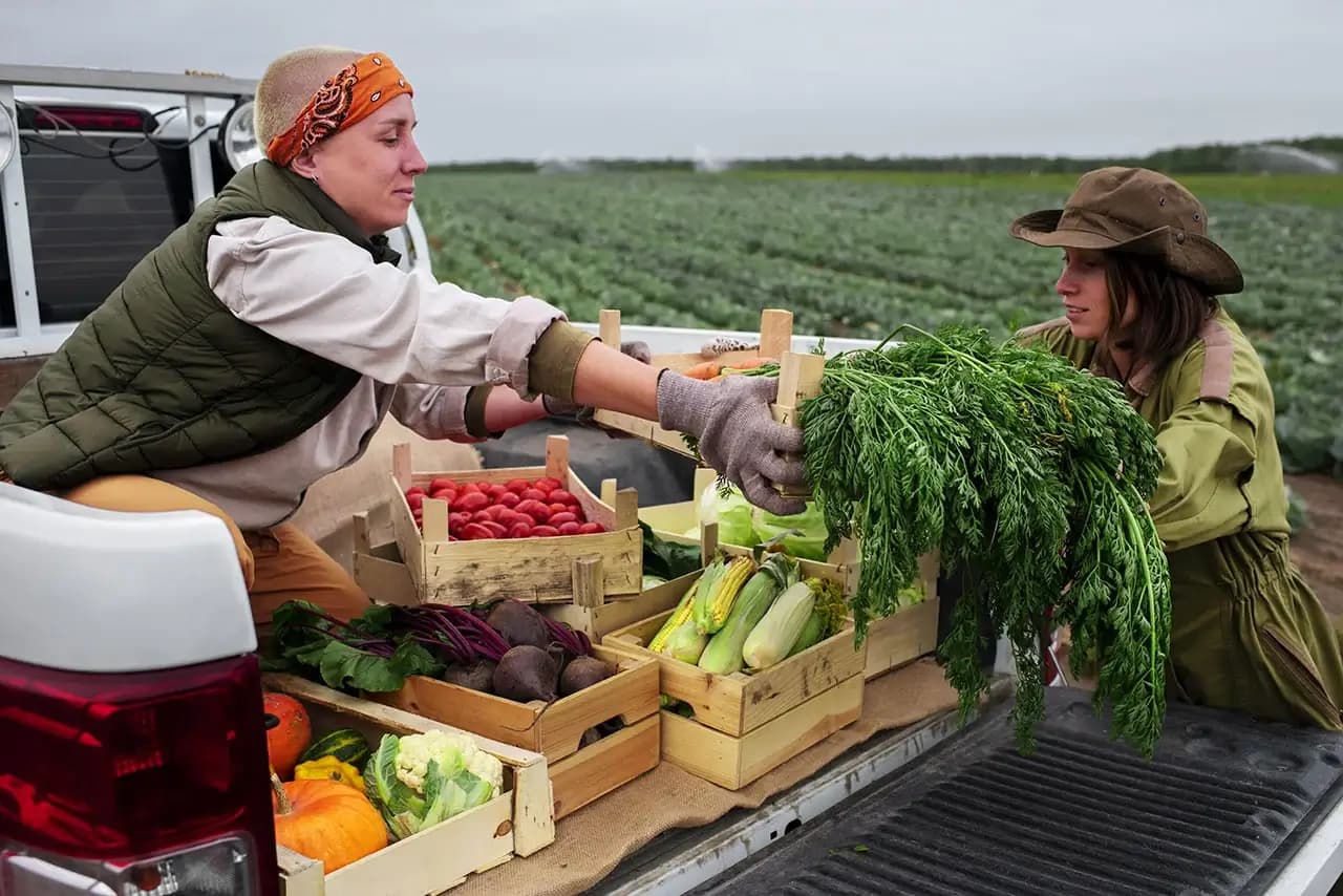 Organic Farm Solutions