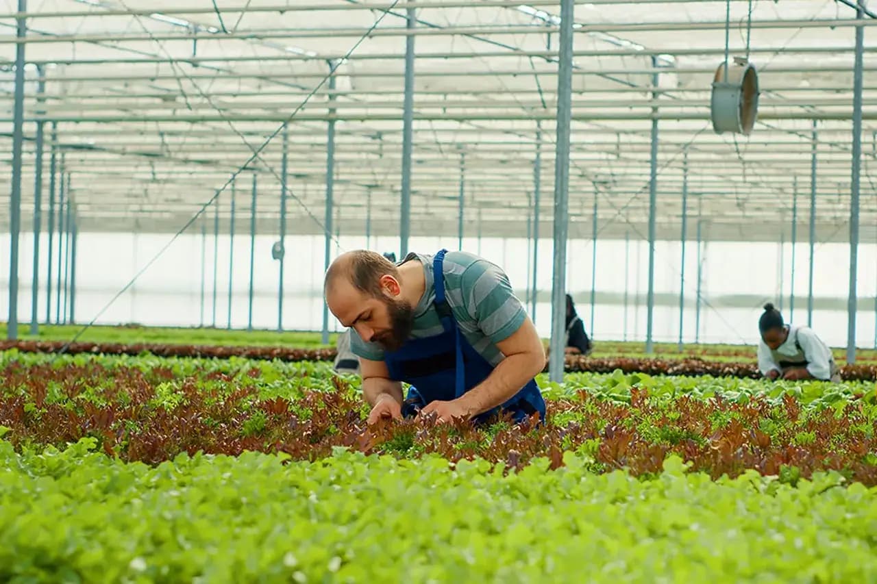 The Eco-Friendly Farming