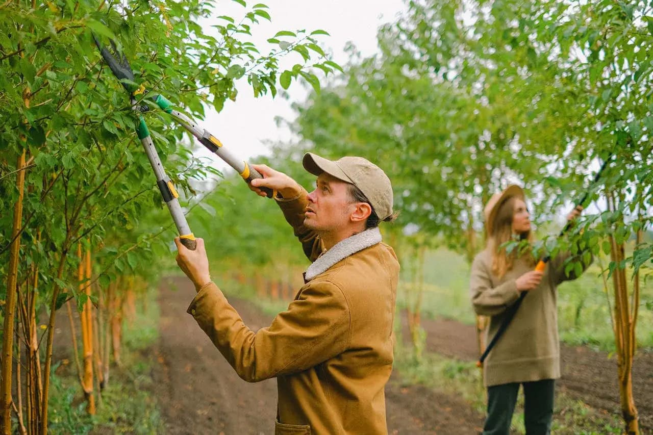 Organic Produce Supply