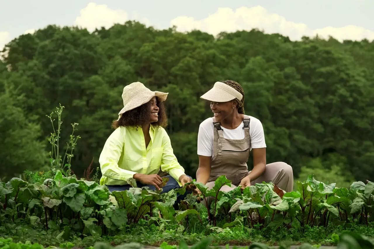 Agri-Technology Innovations